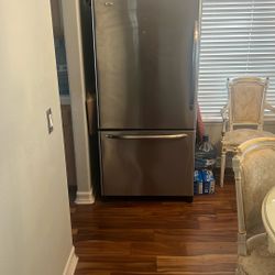 Stainless Steel Amana Refrigerator