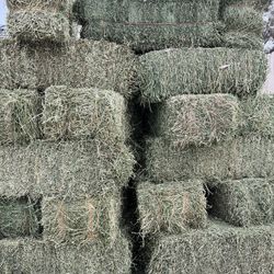 Alfalfa Bales / Hay/ Pacas De Alfalfa 