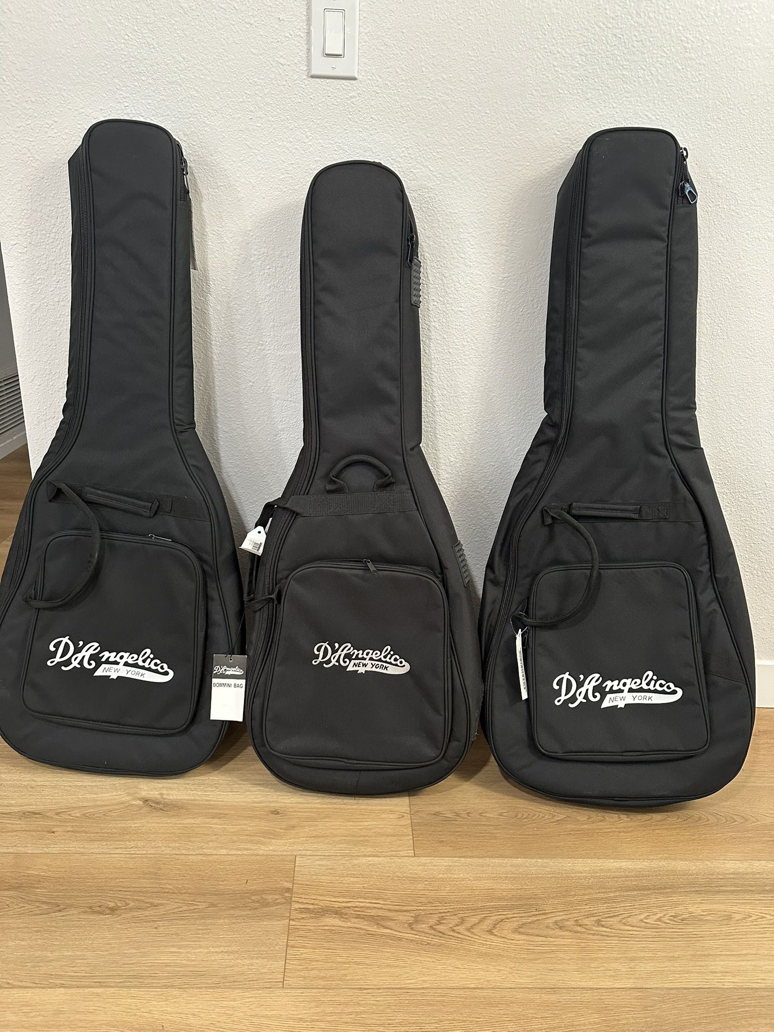 Hallowbody Guitar Case (New)