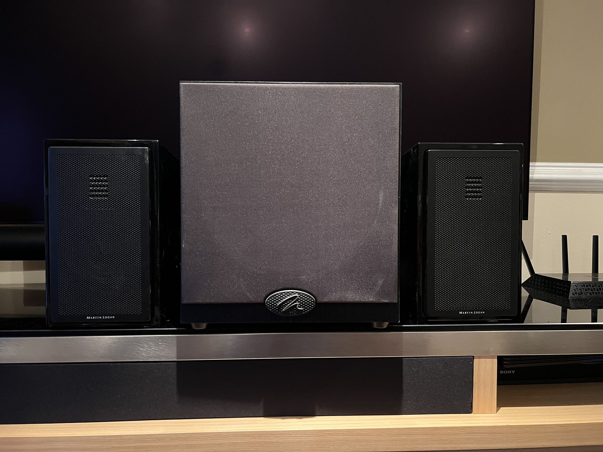 Martin Logan Audio System