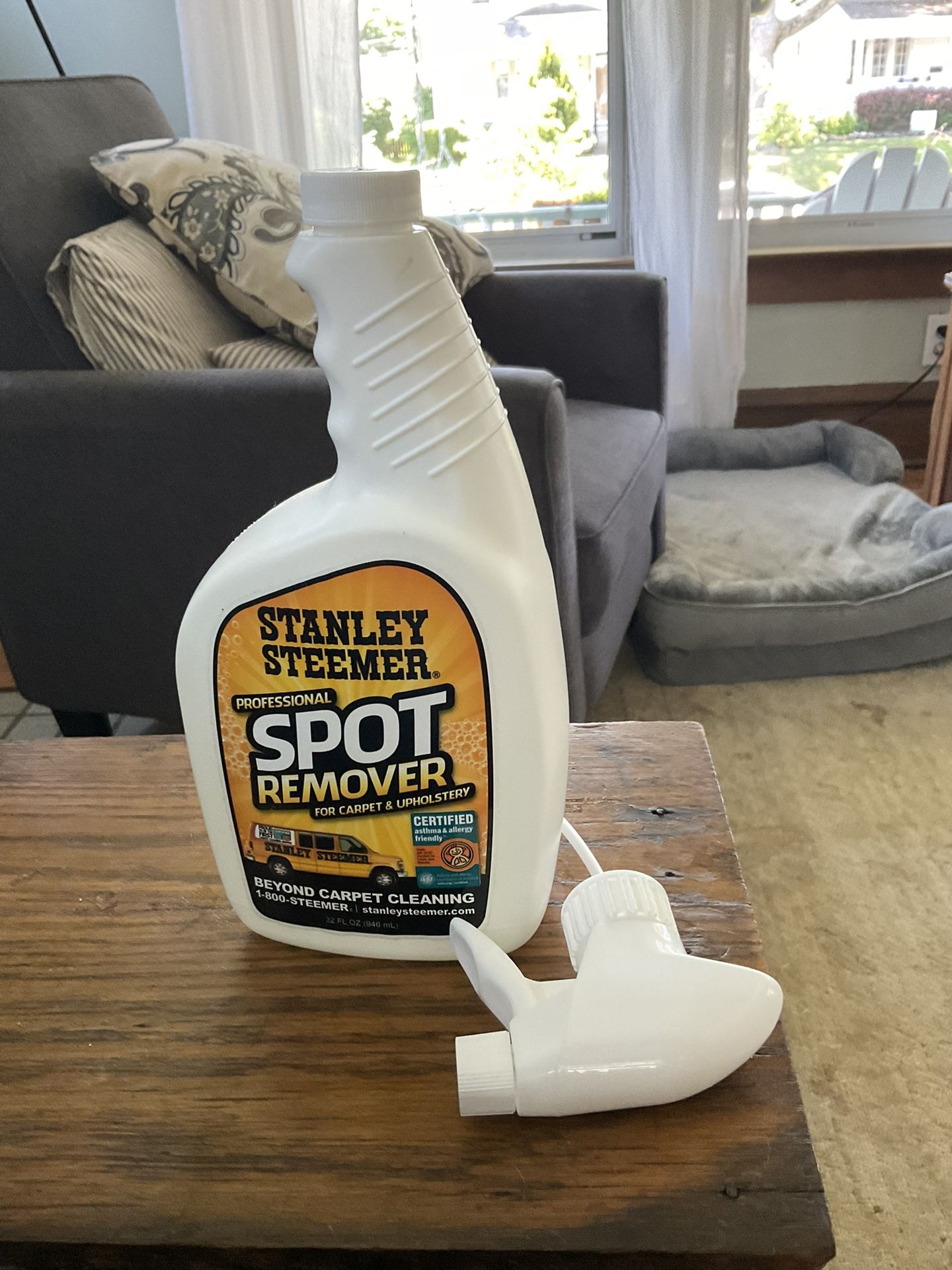 Stanley Steamer Spot Removal