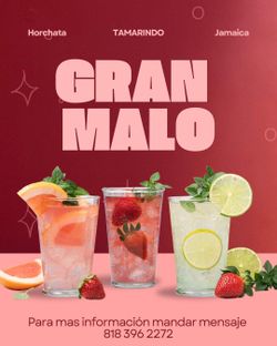 GM Jamaica Horchata Tamarindo