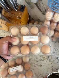 Fresh Organic Chicken Eggs