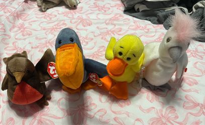 TY Beanie Babies - Bird Lot