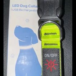 LED Dog Collar Green/ Neon small