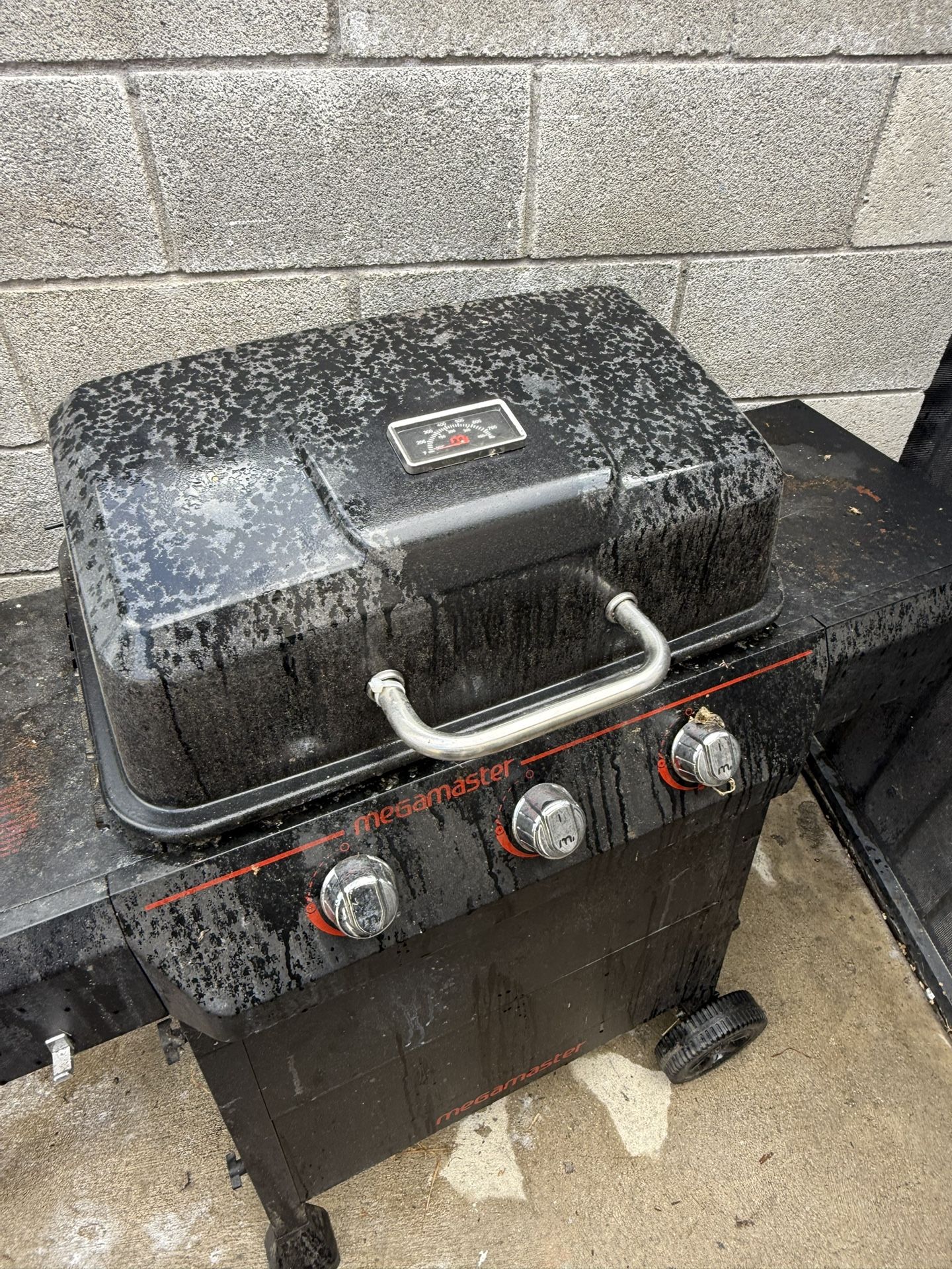 Propane Bbq Grill