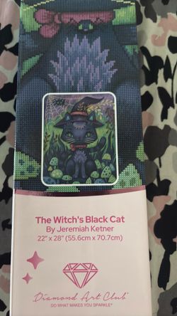 The witches black cat