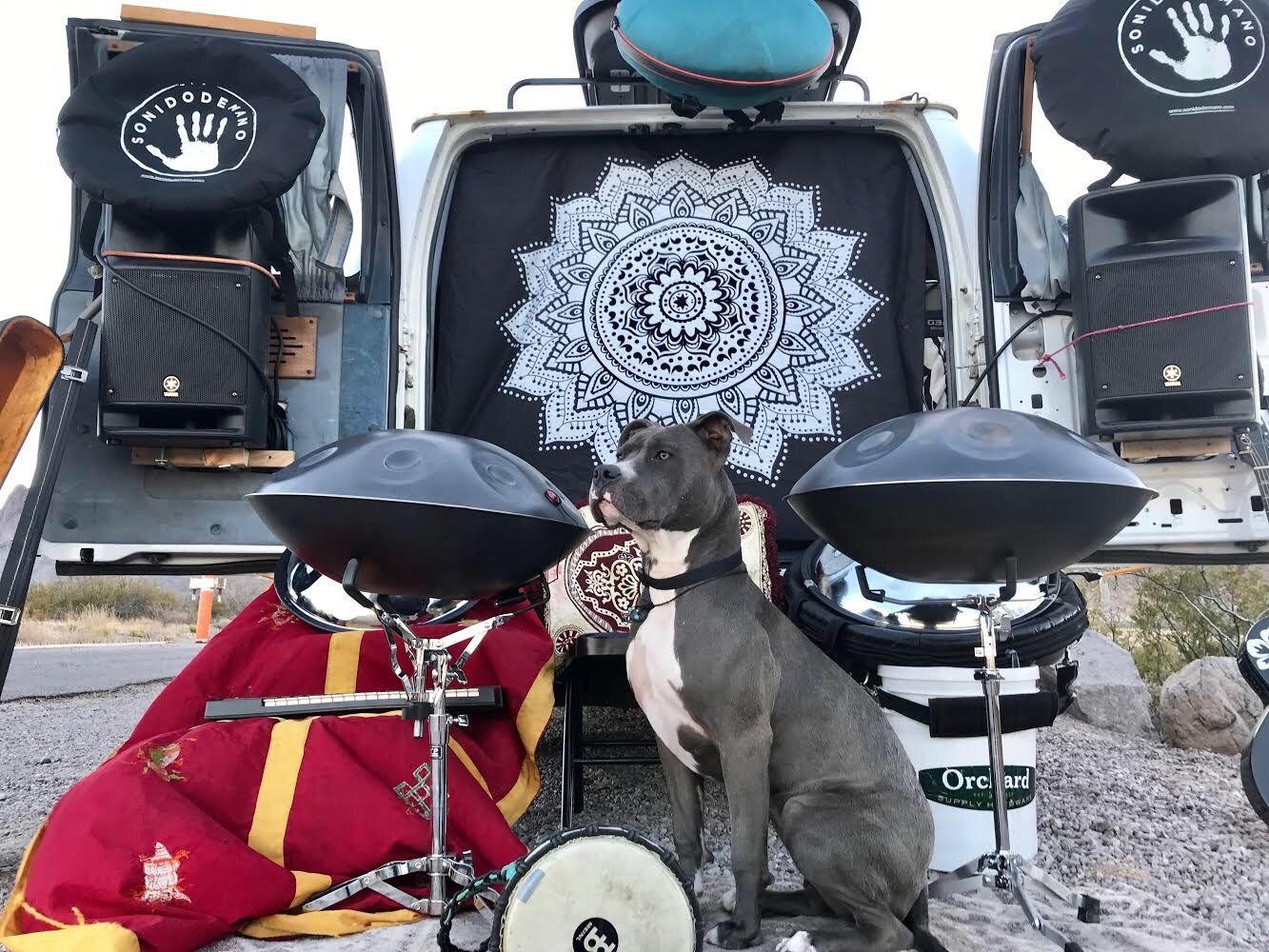 Handpans & Music lessons ft. Rare instruments! Professional quality Pantams/Hang drum/Handpan/steel pans for sale. Music lessons available all ages