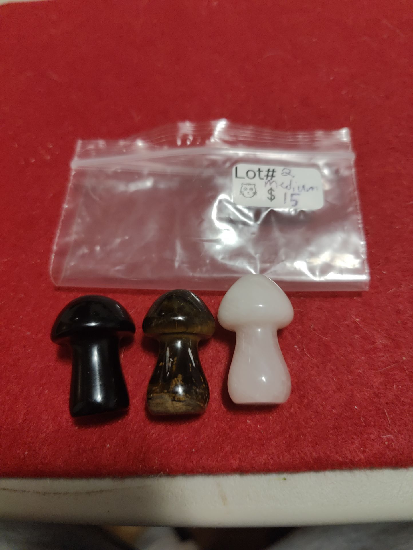 Mixed Material Medium Crystal Mushrooms Lot #2