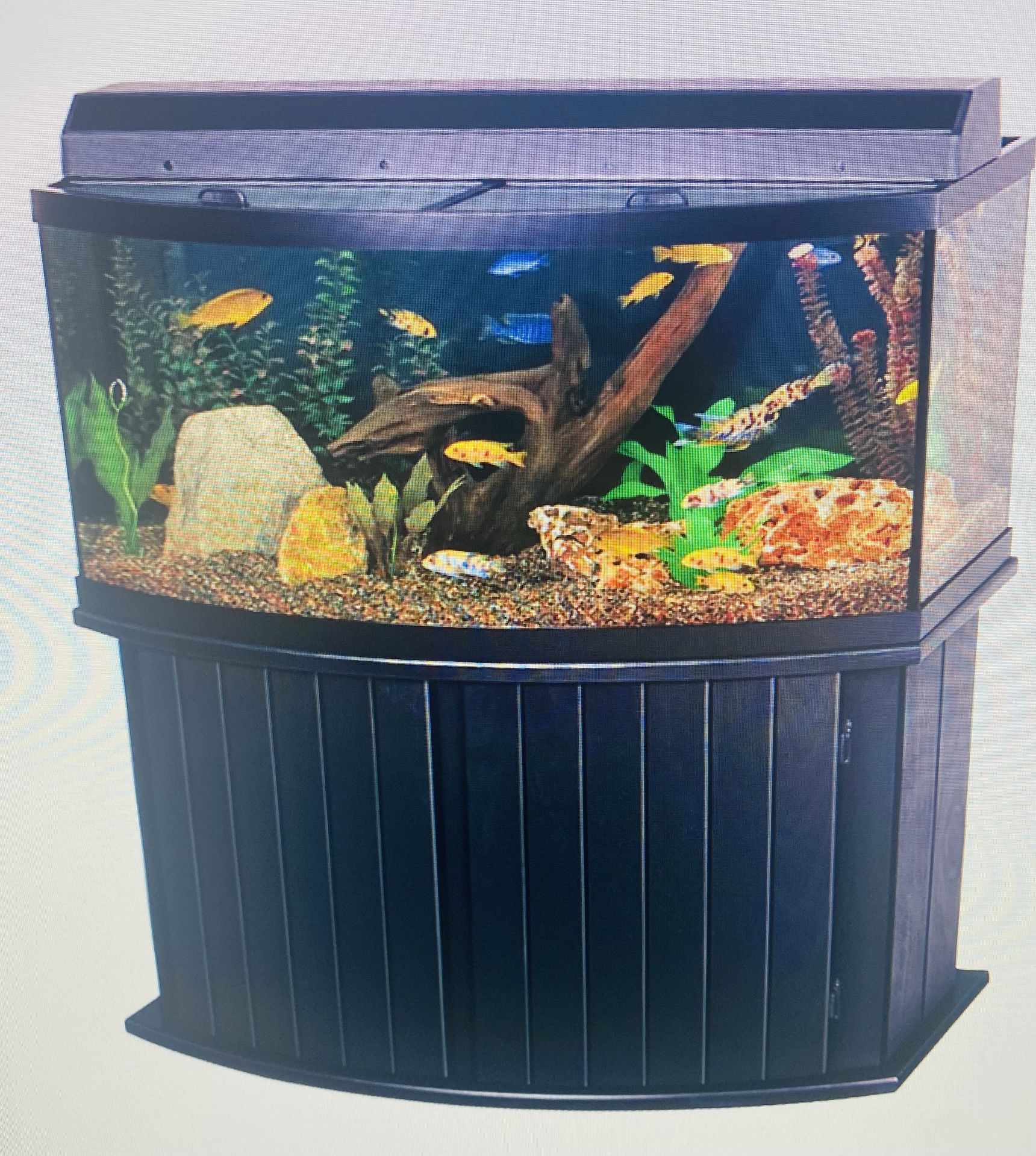72 Gallon Bow Front Aquarium
