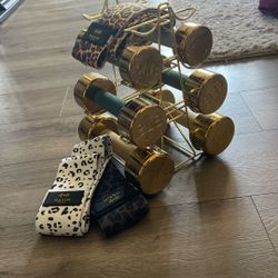 Gold Weights with Cheetah Resistance Bands