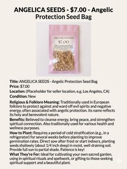 🌿 Angelica Seeds – Angelic Protection & Sacred Garden Herb