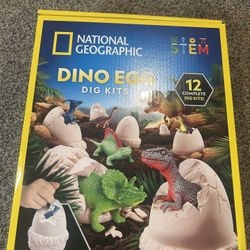 Dino Egg dig kits