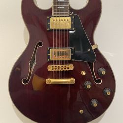 Gorgeous Semi Hollow Body Electric Guitar
