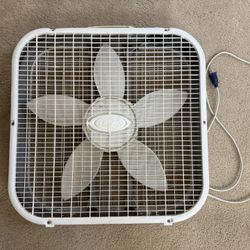 20 Inch Lasko Box Fan