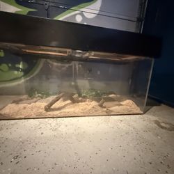 Acrylic 60 Or 80 Gallon Tank