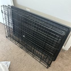 Dog Crate 36 Inch