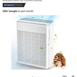 Air Purifier for Large Rooms (P260)