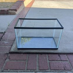 10 Gallon Fish Tank