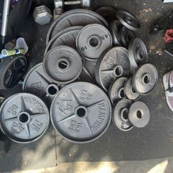 Hampton Olympic weights with Hampton Olympic barbell