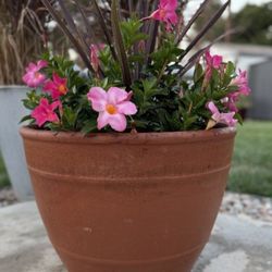23 INCH TERACOTTA PLANTER