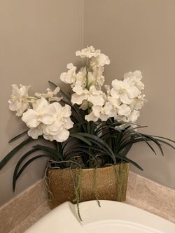 Floral Arrangement 