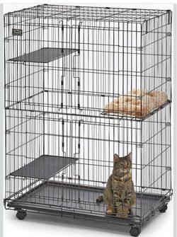 Cat Condo