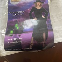 Black Witches Costume With Hat