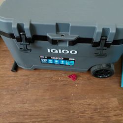 Igloo Cooler 