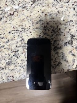 iPhone 12 Pro Max