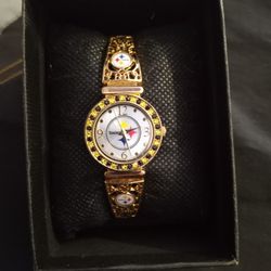 Steelers Watch