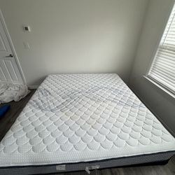 Serta Perfect Sleeper Elkins II Firm 10 inch Mattress