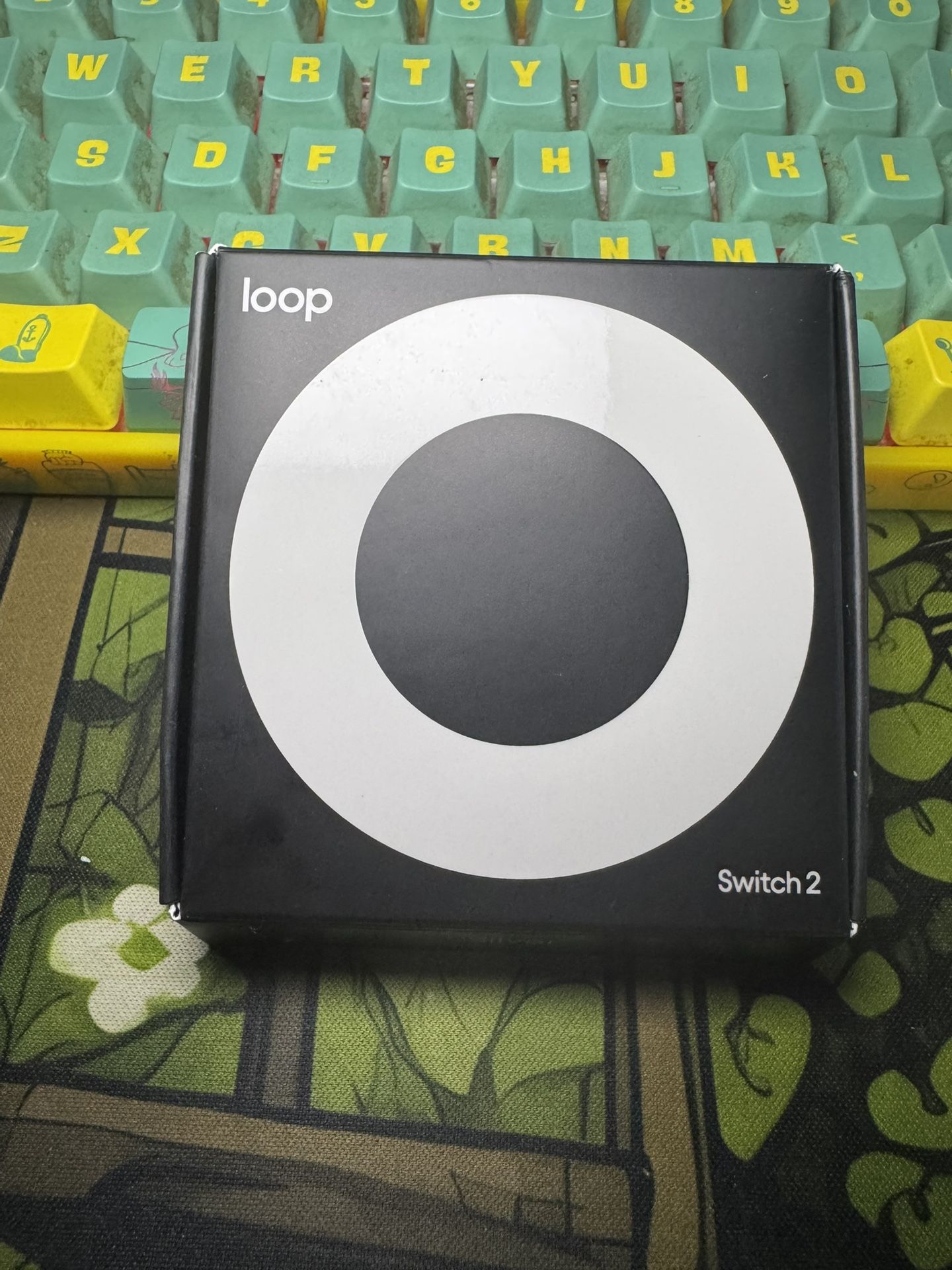 Loop Switch Settings Loop Switch 2 Ear Plugs for Noise Reduction Silver New Open Box for ...