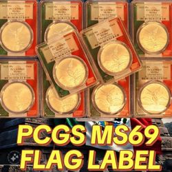 2023 Mexico 1oz Silver Libertad PCGS MS69 - Flag Picture Frame - 