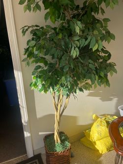 Faux tree 6.5 feet