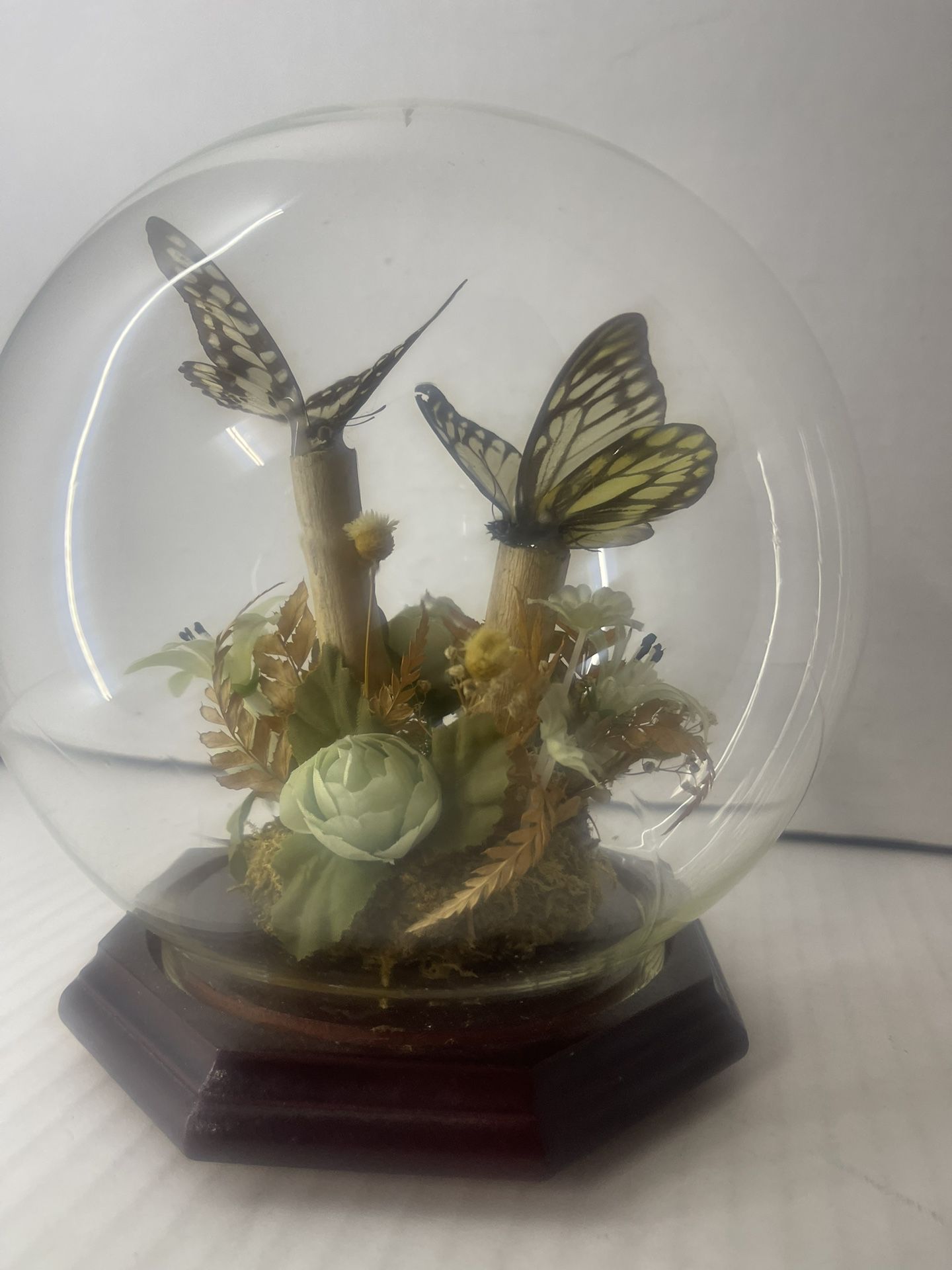 Vintage Butterfly Taxidermy Globe Glass Silk & Flowers Wooden Mid Century