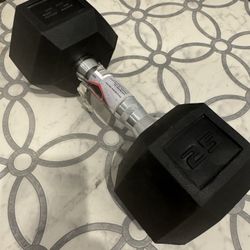 1 25lb Dumbbell 