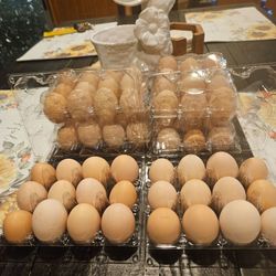 Huevos orgánicos