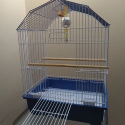 Bird Cage, Jungle Gym & Accessories 