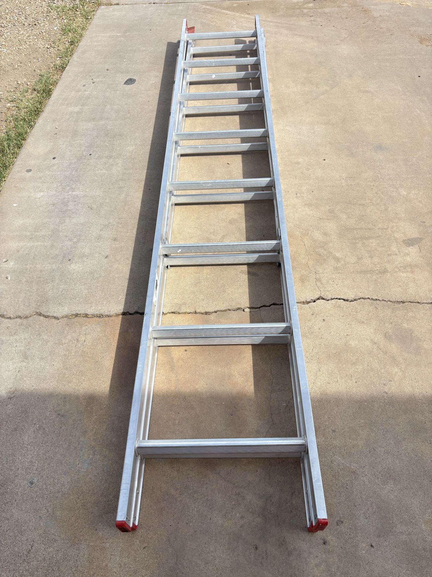 Ladder 16”
