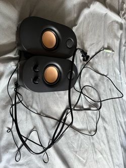 Some on speakers for a monitor or an Xbox
