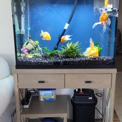 BEAUTIFUL 40G Aquarium W/Stand