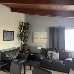 FREE Brown Leather Couch