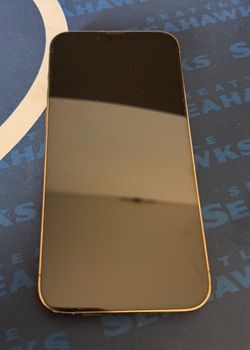 iPhone 13 Pro Max 1TB UNLOCKED