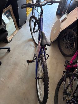 Bicycle (needs chain and brakes fixed)
