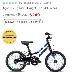 Guardian 14 Inch Bike