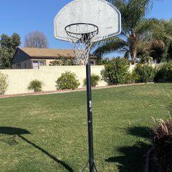 Basketball Hoop And Base