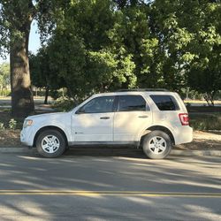 2009 Ford Escape Hybrid