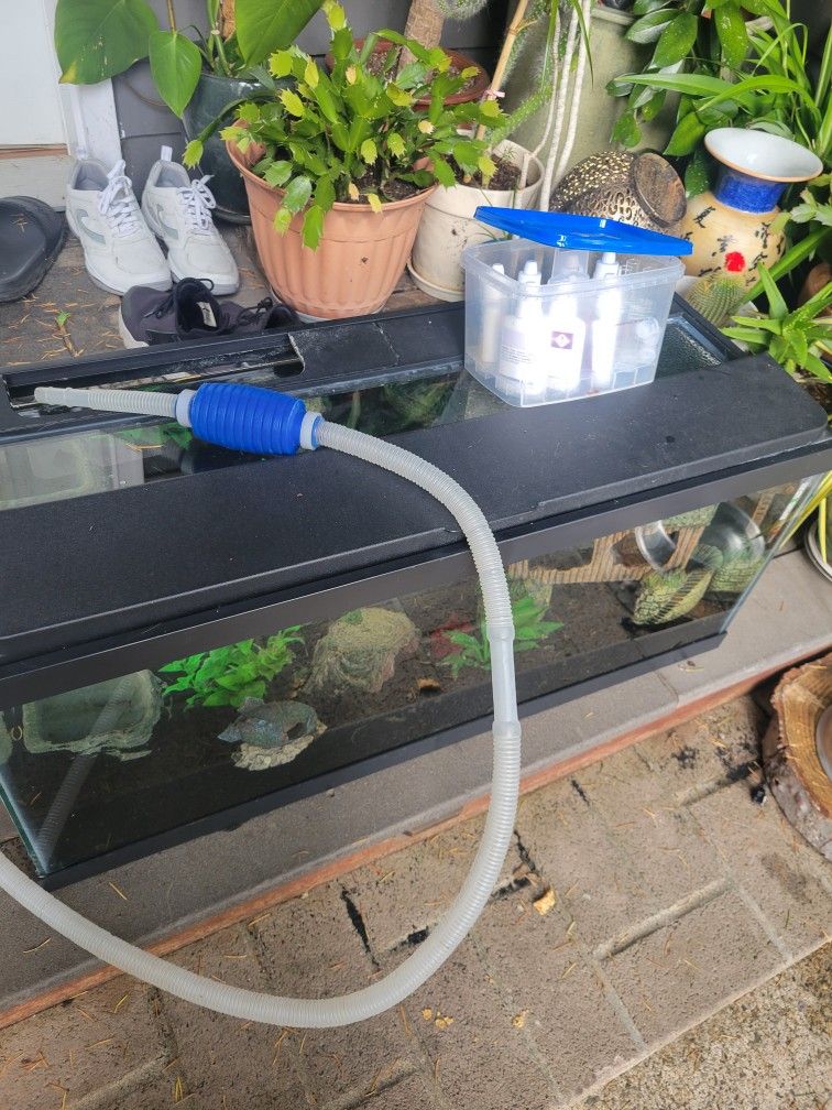 Fish Tank With Accessories