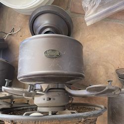 Hunter Outdoor Ceiling Fans- All 4 One Price 